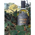 Ginger Mead - Gyömbéres Mead